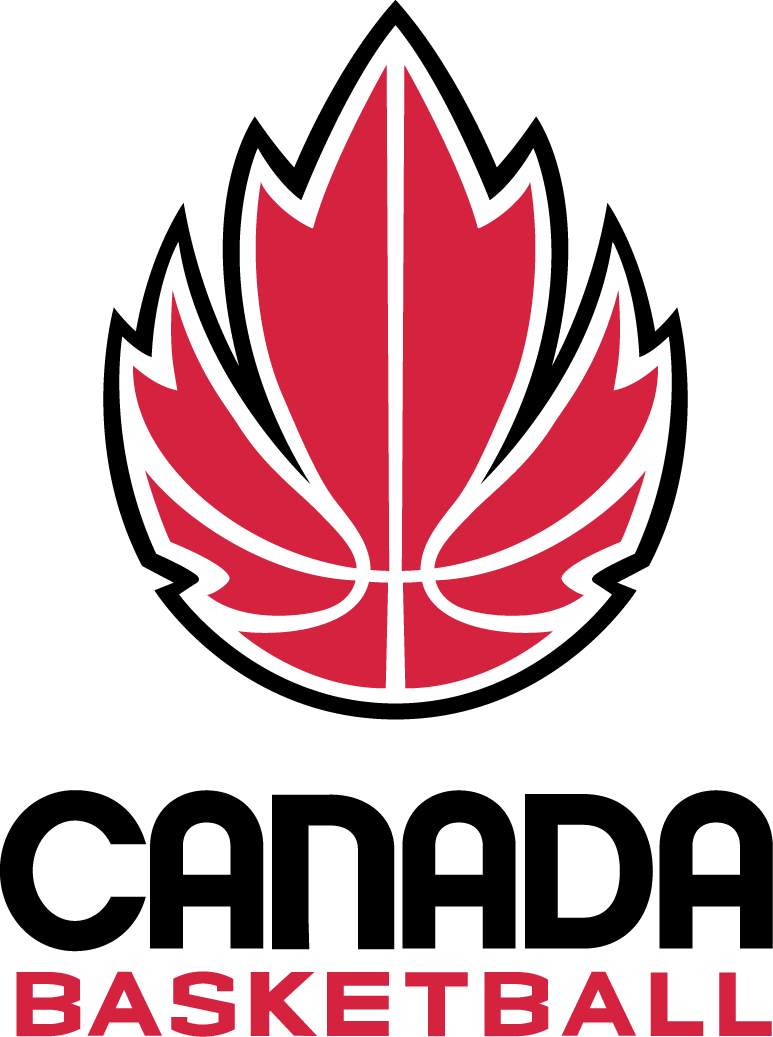 Canada 2013-Pres Primary Logo iron on transfers for clothing